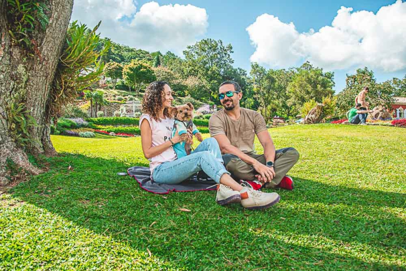 Os 5 Destinos Mais Pet-Friendly do Brasil